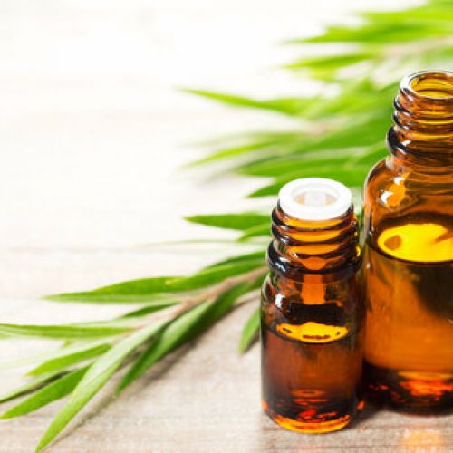 Tea Tree Essential Oil - Tinh dầu tràm