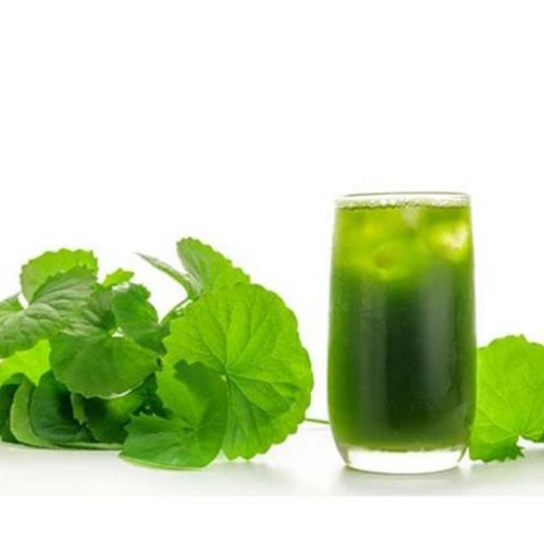 Công dụng tuyệt vời của rau má mà ít ai biết đến