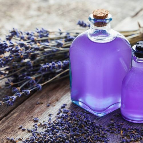 Có nên dùng tinh dầu hoa oải hương chăm sóc tóc? 