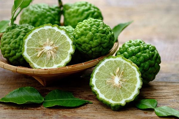 deme_seo2_230408-img02_5cb92f55d7724d34ba4de9443a751886_grande